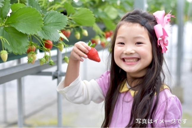 いちご狩り